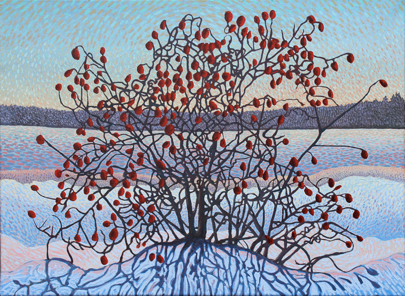John-Kinsella-Rosehips-in-Winter.w_2