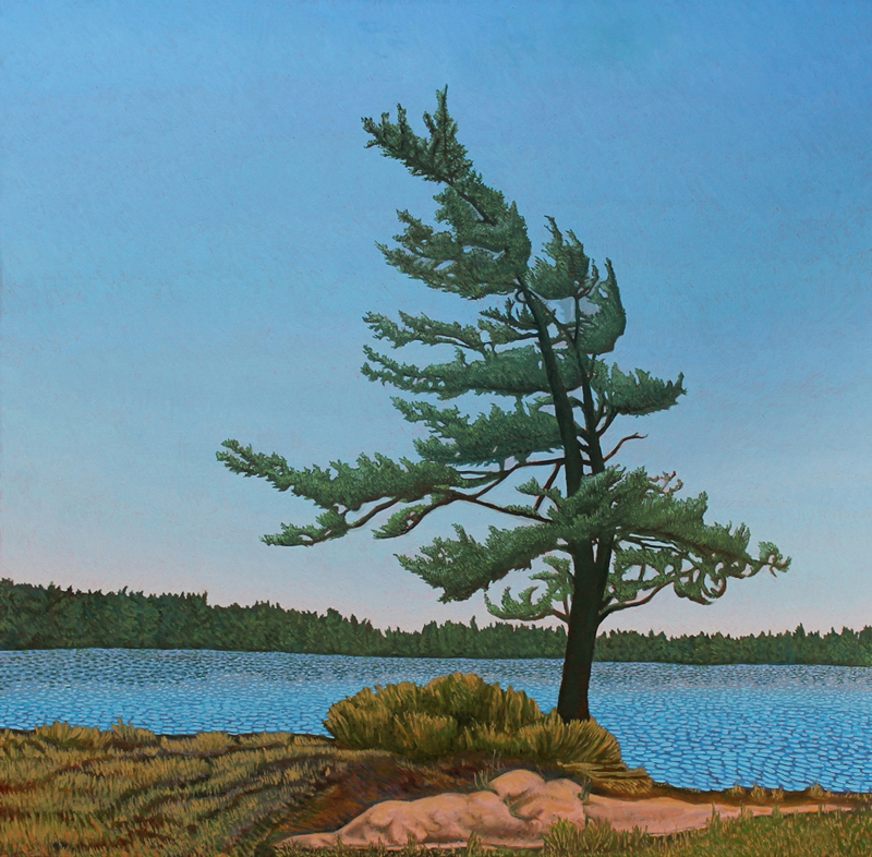 John-Kinsella-Shore-Pine-_2