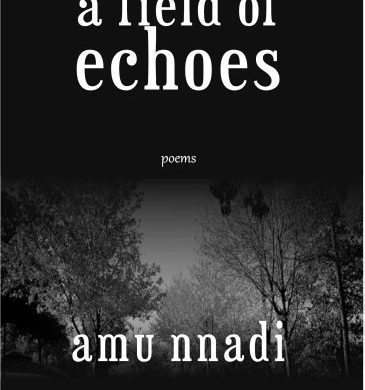 A New Enchanted Collection from Nigerian Poet