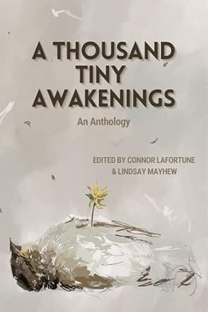 Tiny Awakenings